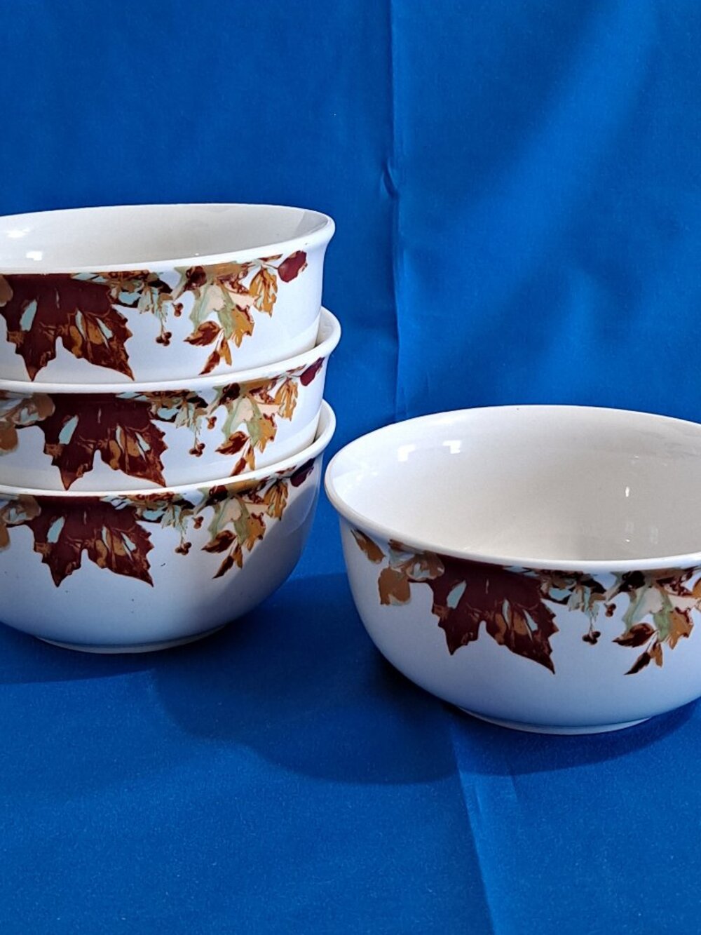 Set 4 Royal Norfolk LEAF 6" SOUP BOWLS Cereal Thanksgiving Fall Leaves Autumn